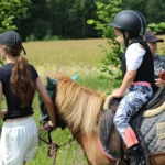 Jodinėjimas Jodinėjimas