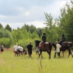 Žygis su žirgais stovykloje Žygis su žirgais stovykloje